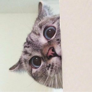 Meet your Posher, Kari